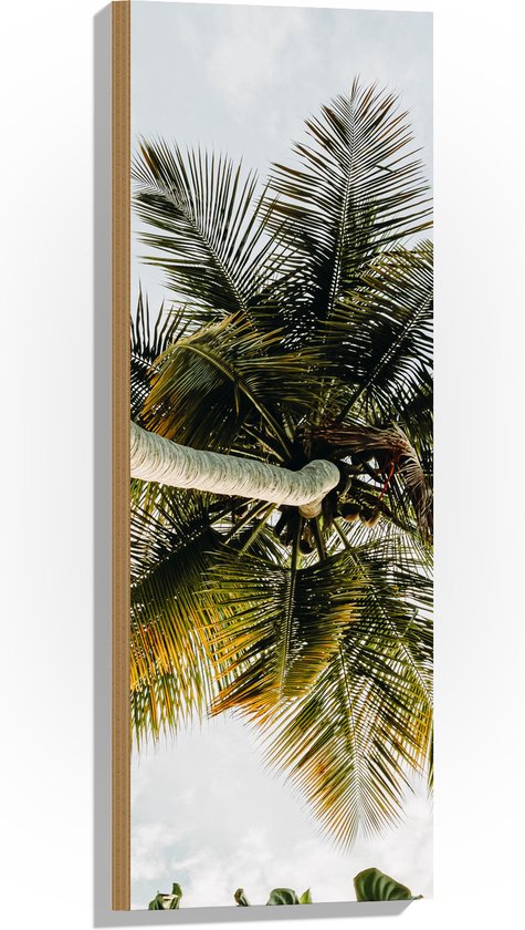 Hout - Palmboom vanaf onder - 30x90 cm - 9 mm dik - Foto op Hout (Met Ophangsysteem)
