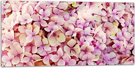 Tuinposter – Roze Bloementjes - 100x50 cm Foto op Tuinposter (wanddecoratie voor buiten en binnen)