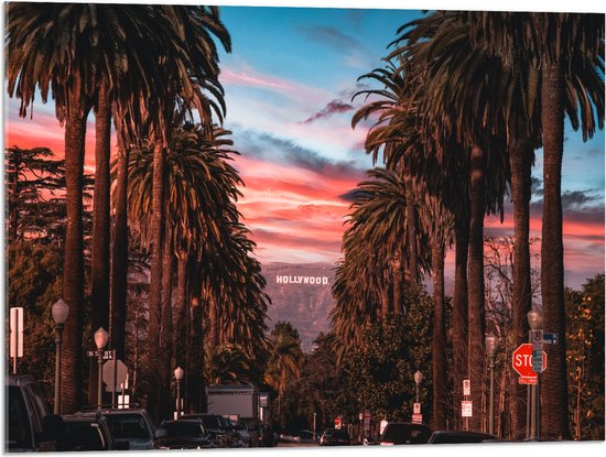 Acrylglas - Los Angeles Hollywood met Palmbomen - 80x60 cm Foto op Acrylglas (Wanddecoratie op Acrylaat)