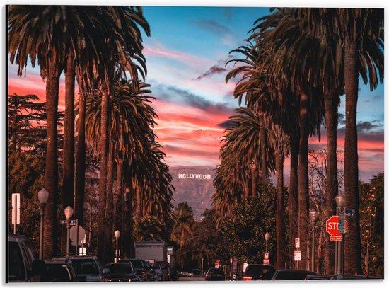 Dibond - Los Angeles Hollywood met Palmbomen - 40x30 cm Foto op Aluminium (Wanddecoratie van metaal)