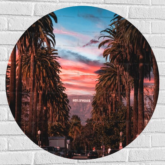 Muursticker Cirkel - Los Angeles Hollywood met Palmbomen - 80x80 cm Foto op Muursticker