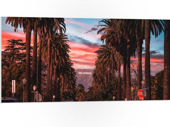 PVC Schuimplaat - Los Angeles Hollywood met Palmbomen - 100x50 cm Foto op PVC Schuimplaat (Met Ophangsysteem)