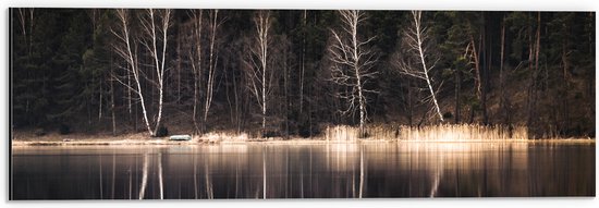 WallClassics - Dibond - Kale Bomen aan het Water - 60x20 cm Foto op Aluminium (Wanddecoratie van metaal)