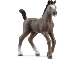 schleich HORSE CLUB - Selle Français-veulen - 13957