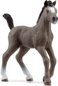 foto van schleich HORSE CLUB - Selle Français-veulen - 13957