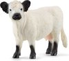 foto van schleich FARM WORLD Galloway koe - Speelfiguur 13960
