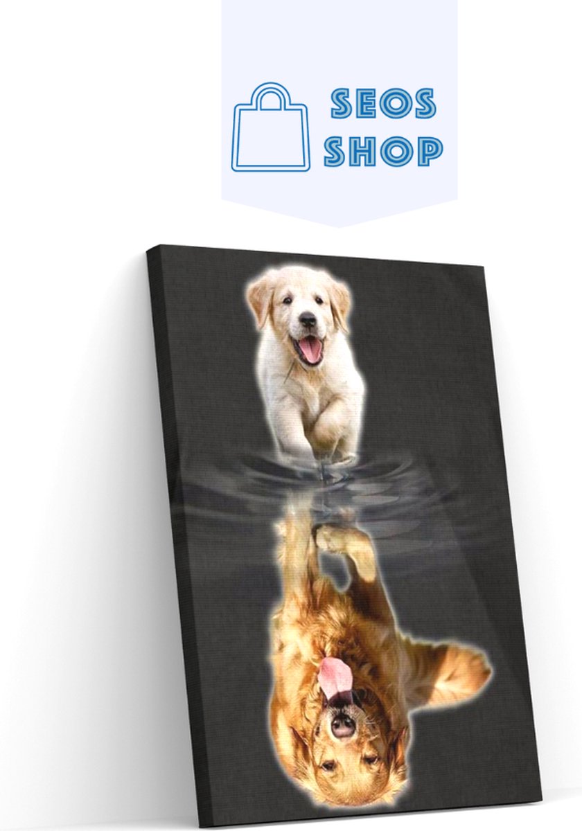 Diamond Painting Pakket Labrador van Pup naar Volwassen - Diamond Paintings - 25x30 cm - Vierkant - SEOS Shop ®