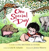 One Special Day A Story for Big Brothers and Sisters 1