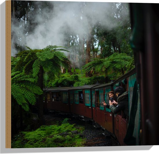 WallClassics - Hout - Stoom Trein door de Jungle - 50x50 cm - 9 mm dik - Foto op Hout (Met Ophangsysteem)