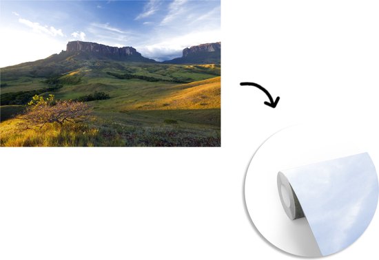 Papier peint vinyle - Coucher de soleil dans le parc national de Canaima au Venezuela largeur 390 cm x hauteur 260 cm - Tirage photo sur papier peint (disponible en 7 tailles)