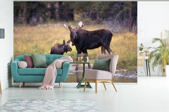 Papier peint photo peint vinyle - Elk avec son petit dans l'eau largeur 390 cm x hauteur 260 cm - Tirage photo sur papier peint (disponible en 7 tailles)