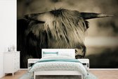 Behang - Fotobehang Schotse Hooglander - Dieren - Haar - Breedte 420 cm x hoogte 280 cm