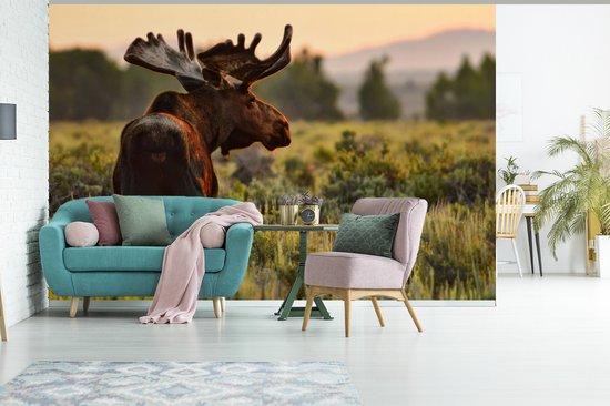 Papier peint photo peint vinyle - Elk in Wyoming largeur 330 cm x hauteur 220 cm - Tirage photo sur papier peint (disponible en 7 tailles)