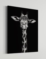 Giraffe | Schobbejak Animal Collection | Canvas | Wanddecoratie | Kunst | Schilderij | 50x70 CM