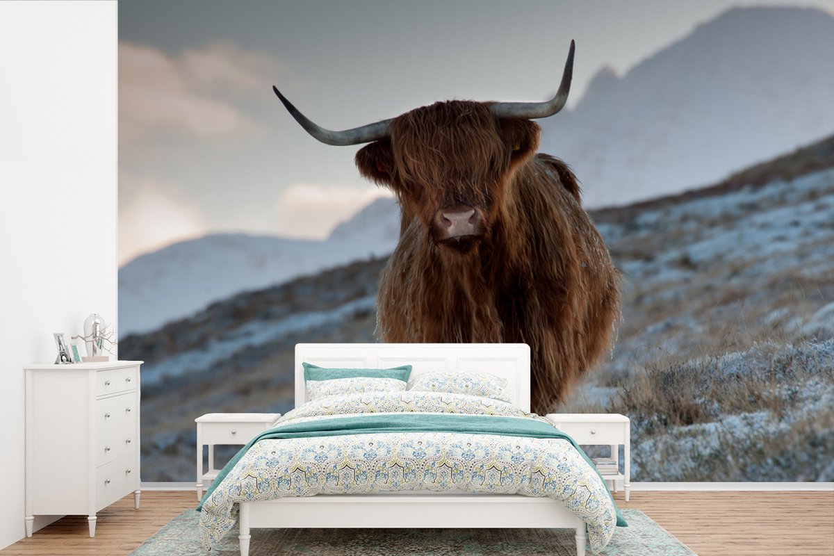 Behang - Fotobehang Schotse hooglander - Landschap - Schotland - Breedte 330 cm x hoogte 220 cm