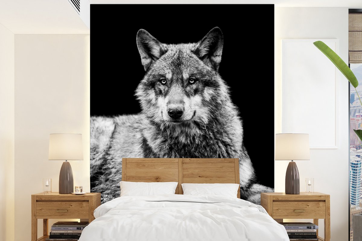 Behang - Fotobehang Wilde dieren - Wolf - Zwart - Wit - Breedte 190 cm x hoogte 260 cm