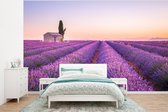Behang - Fotobehang Lavendel - Zonsondergang - Paars - Bloemen - Breedte 295 cm x hoogte 220 cm