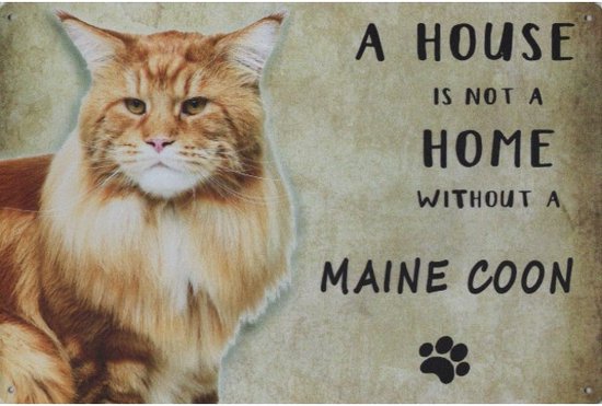 Wandbord Katten - A House Is Not A Home Without A Maine Coon