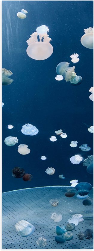WallClassics - Poster Glanzend – Blauwe, Witte en Zwarte Kwallen in de Zee - 20x60 cm Foto op Posterpapier met Glanzende Afwerking