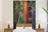 Behang - Fotobehang Een Redwood boom in het bos - Breedte 180 cm x hoogte 280 cm
