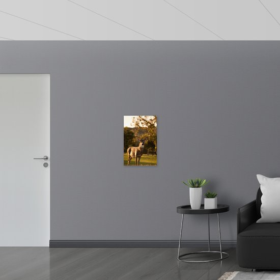 PVC Schuimplaat - Bruin Hert in de Zon - 40x60 cm Foto op PVC Schuimplaat (Met Ophangsysteem)