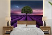 Behang - Fotobehang Lavendel - Boom - Paars - Breedte 240 cm x hoogte 240 cm