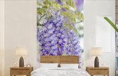 Behang - Fotobehang Blauwe regen in bloei - Breedte 120 cm x hoogte 240 cm