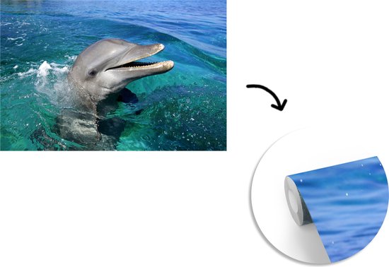 Papier peint photo peint photo vinyle - Verre curieux largeur 330 cm x hauteur 220 cm - Tirage photo sur papier peint (disponible en 7 tailles)