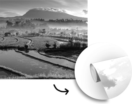 Papier peint Papier peint photo en vinyle - Rizières de Tirtagangga à Bali en Indonésie - noir et blanc largeur 220 cm x hauteur 220 cm - Tirage photo sur papier peint (disponible en 7 tailles)