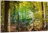 Tuinposter – Stenen Trap in Bloeiend Groen Bos - 150x100 cm Foto op Tuinposter (wanddecoratie voor buiten en binnen)