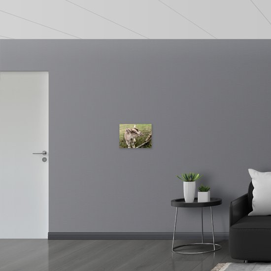 WallClassics - Panneau en mousse PVC - Chèvre douce au lactosérum - Photo 40x30 cm sur panneau en mousse PVC (avec système de suspension)
