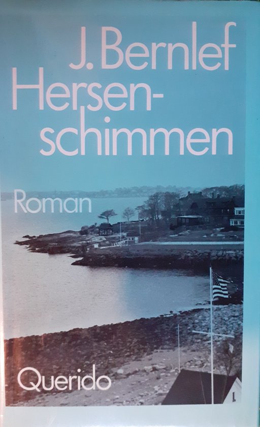 9789021451848 - Hersenschimmen