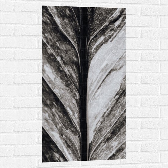 Muursticker - Close-up van Nerven van Blad (Zwart-wit) - 50x100 cm Foto op Muursticker