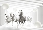 Fotobehang - Vlies Behang - Witte Paarden in een 3D Ruimte - 152,5 x 104 cm
