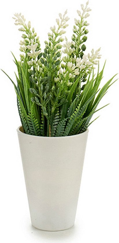 Vaso quadrato nero 10 x 10 x 12 cm 10 pezzi – Giardino Carnivoro