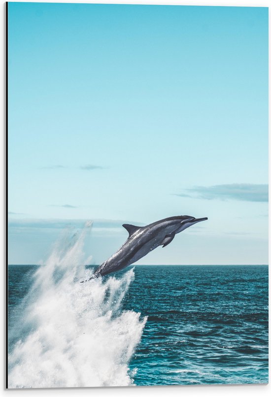 WallClassics - Dibond - Omhoogspringende Dolfijn in de Zee - 40x60 cm Foto op Aluminium (Met Ophangsysteem)