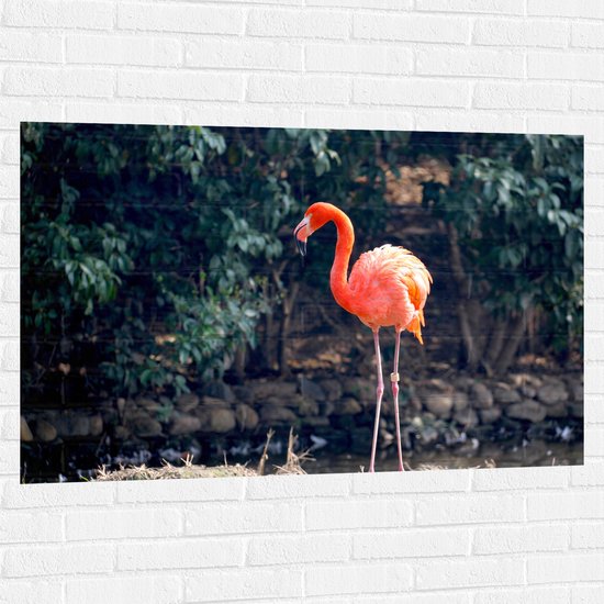 Muursticker - Staande Roze Flamingo - 120x80 cm Foto op Muursticker