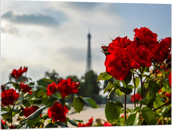 Acrylglas - Rode Rozenstruik voor Eiffeltoren in Parijs, Frankrijk - 100x75 cm Foto op Acrylglas (Wanddecoratie op Acrylaat)
