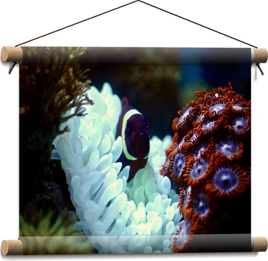 Textielposter - Paars Visje tussen het Gekleurd Koraal - 40x30 cm Foto op Textiel