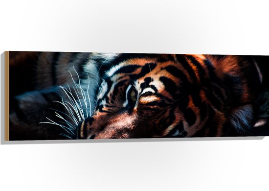 WallClassics - Hout - Rustende Tijger in het Zonlicht - 120x40 cm - 9 mm dik - Foto op Hout (Met Ophangsysteem)