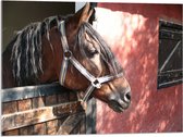 WallClassics - Acrylglas - Paard bij Staldeur - 80x60 cm Foto op Acrylglas (Wanddecoratie op Acrylaat)