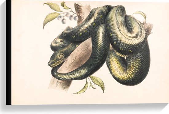Tableau Peinture Serpent - noir et blanc - 60x40 cm - Décoration murale