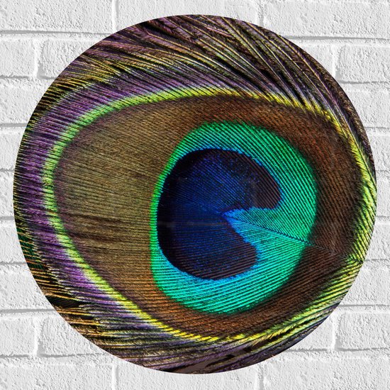 Muursticker Cirkel - Kleurrijke Pauwen Veer van Dichtbij - 60x60 cm Foto op Muursticker