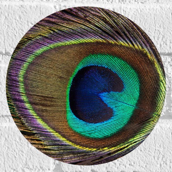 Muursticker Cirkel - Kleurrijke Pauwen Veer van Dichtbij - 20x20 cm Foto op Muursticker