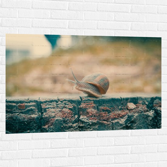 WallClassics - Muursticker - Escargot marchant sur un mur de pierre - 120x80 cm Photo sur Muursticker