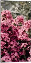 Tuinposter – Roze Bloementjes - 50x100 cm Foto op Tuinposter (wanddecoratie voor buiten en binnen)