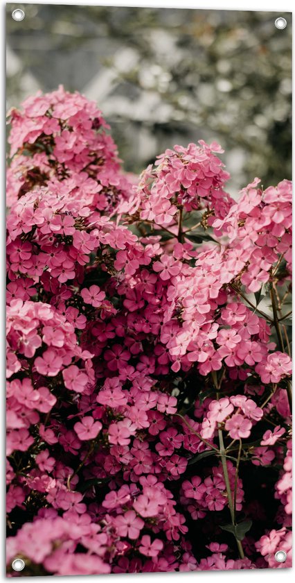 Tuinposter - Roze Bloementjes - Foto op Tuinposter (wanddecoratie voor buiten en binnen)