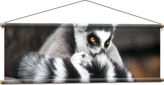Textielposter - Ringstaart Maki Aap met Snuit in Staart op Balk - 120x40 cm Foto op Textiel