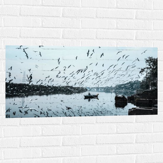 WallClassics - Muursticker - Zwerm Vogels boven Rivier - 100x50 cm Foto op Muursticker
