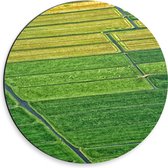 Dibond Muurcirkel - Begroeide Weides van Nederland - 30x30 cm Foto op Aluminium Muurcirkel (met ophangsysteem)